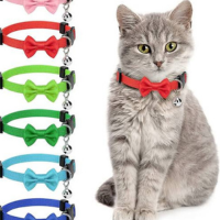 Fancy Cat Collar