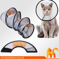 E-Collar for Cats and kitten