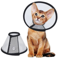 E-Collar for Cats and kitten