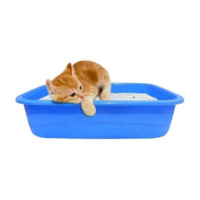 Litter Tray For Kittens